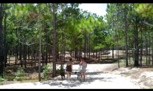Camping Novas Palmeiras Florianópolis Esterno foto