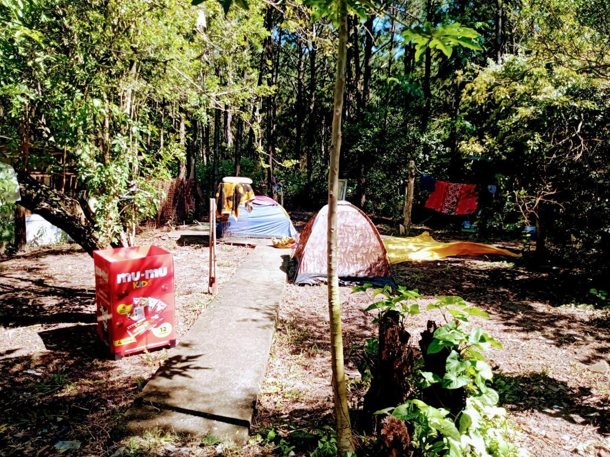 Camping Novas Palmeiras Florianópolis Esterno foto